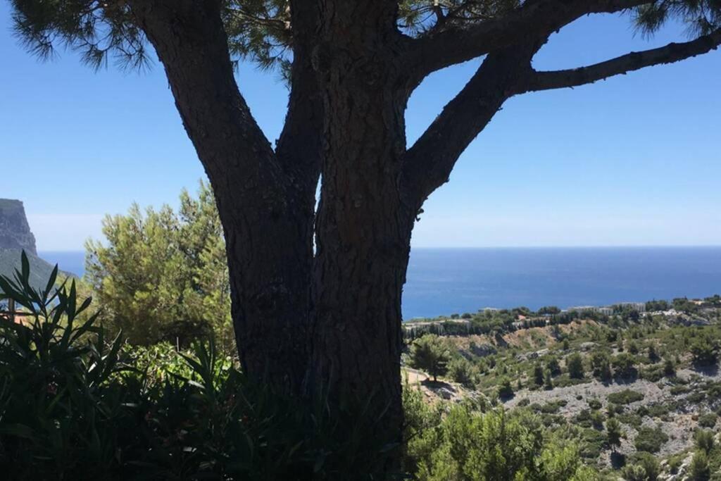 Magnifique Studio Cassis Exterior foto
